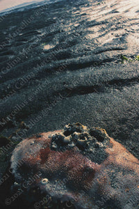 Ocean 003