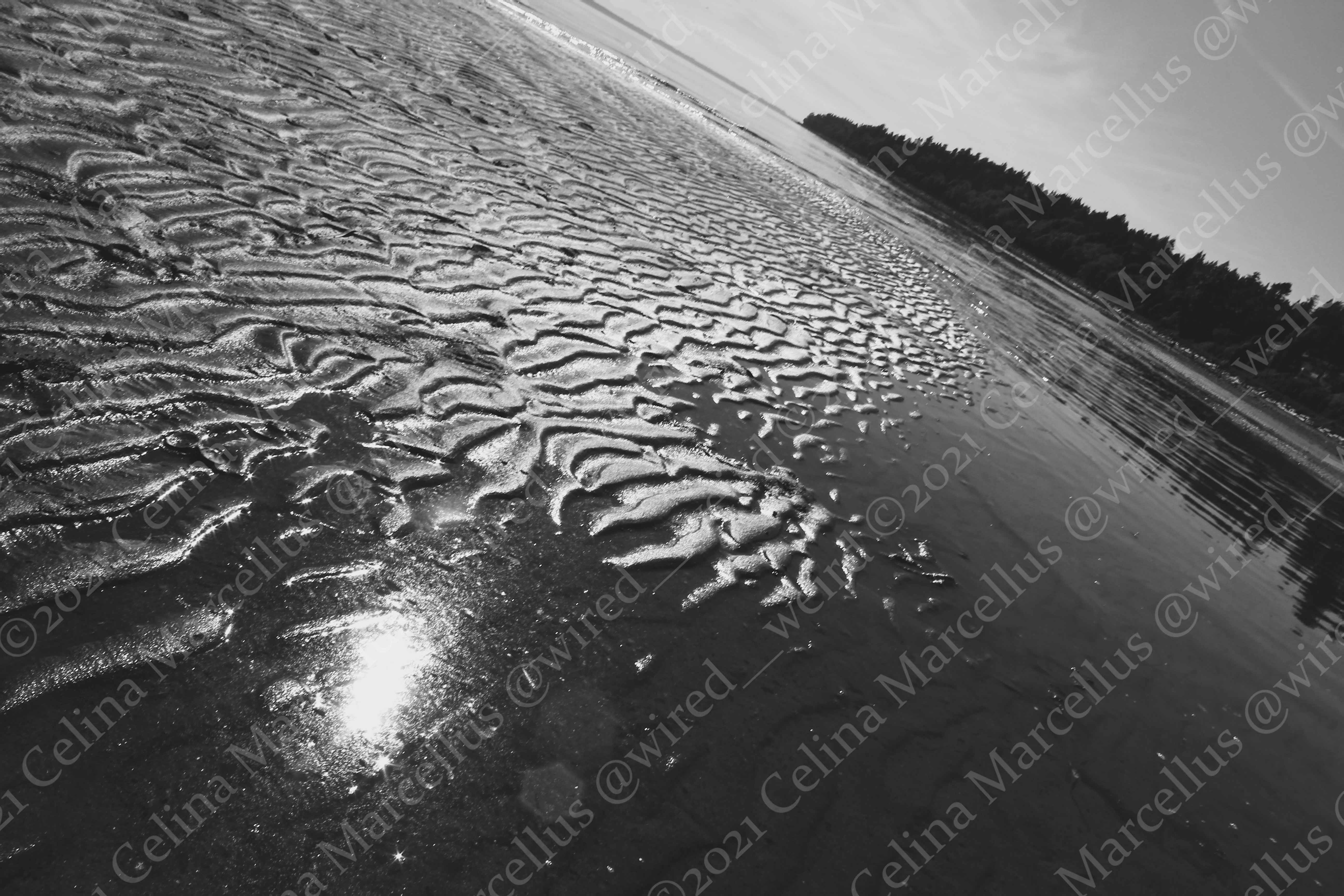 Ocean 006
