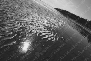 Ocean 006