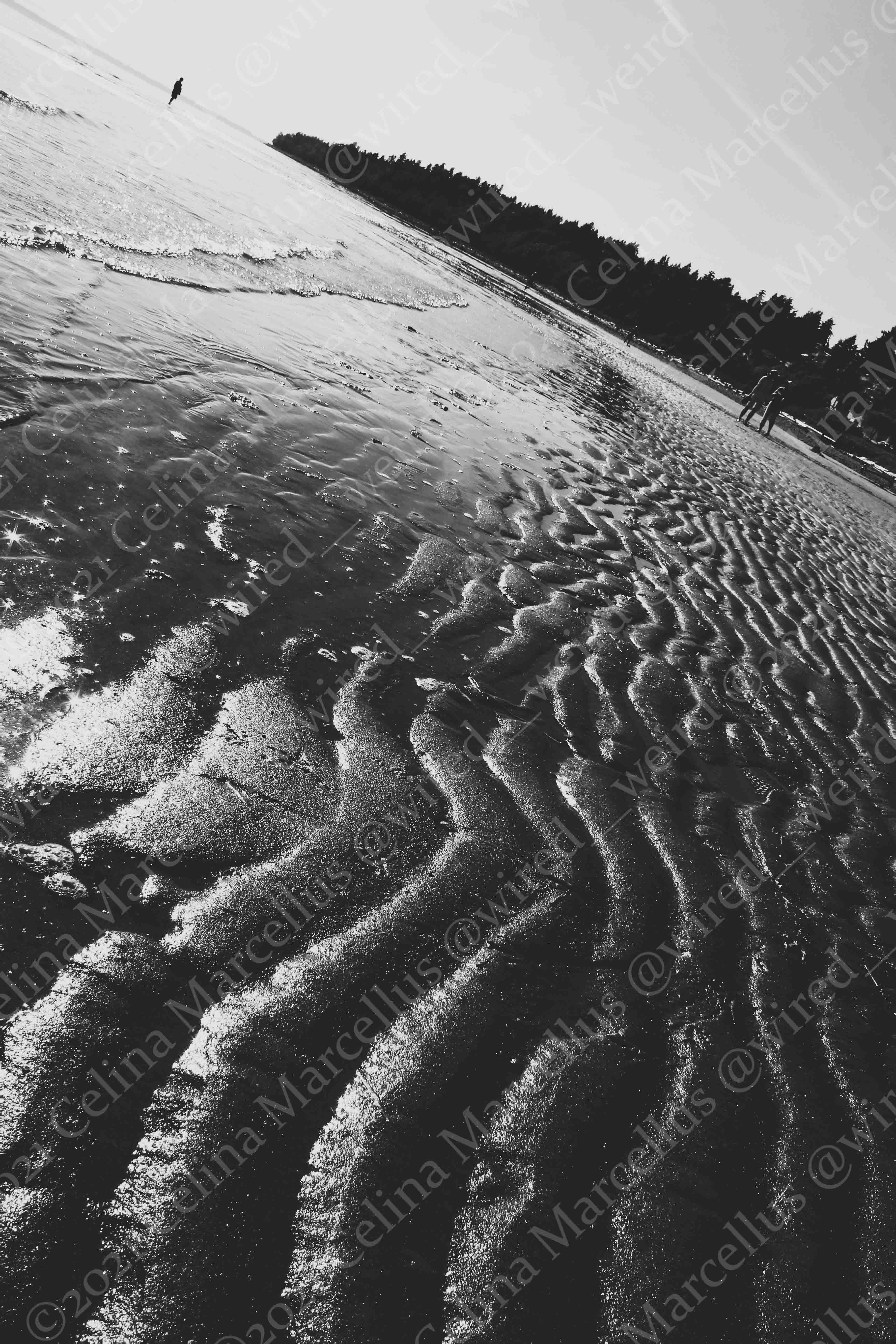 Ocean 007
