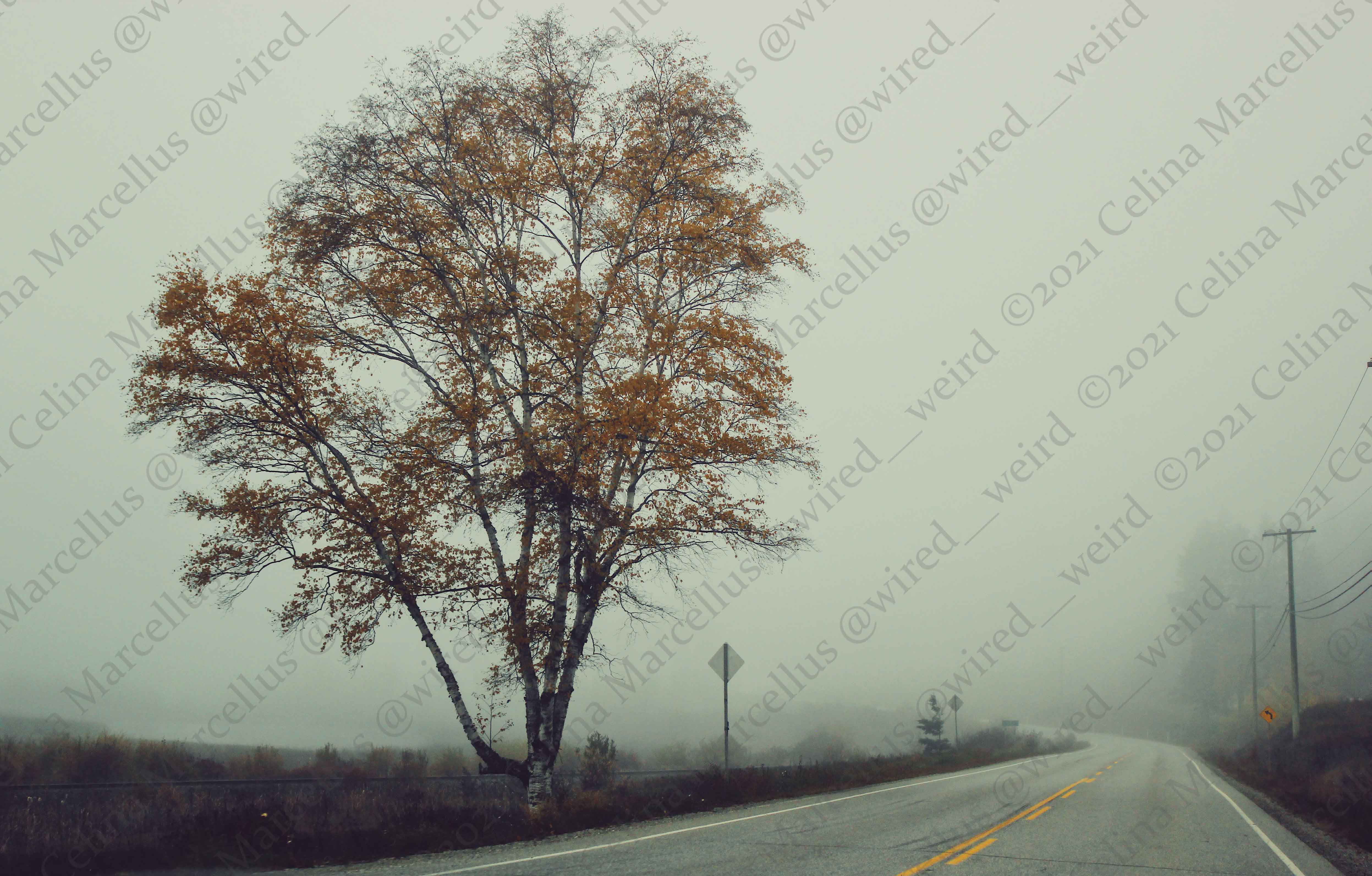 Natural Landscape 011