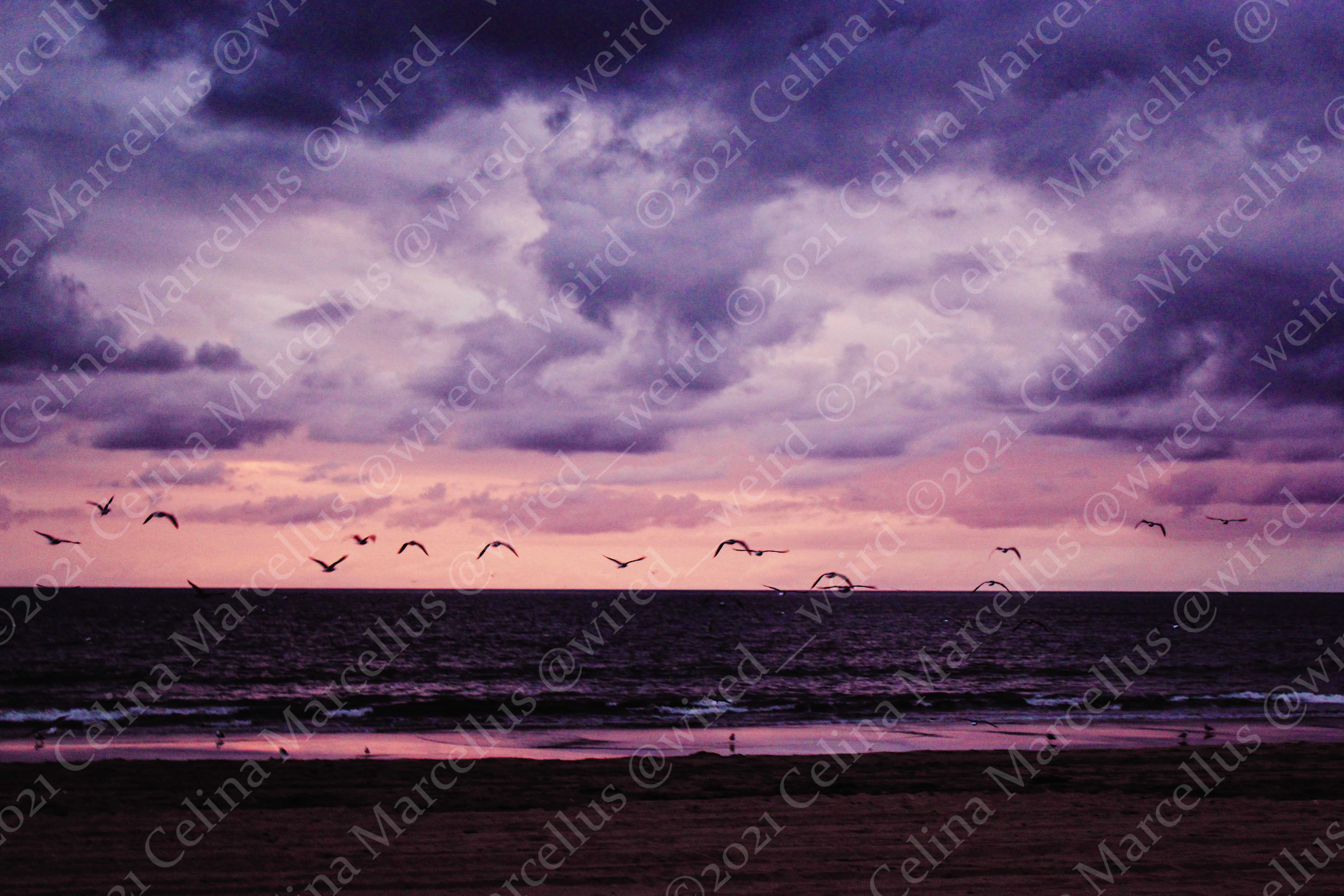 Ocean 012