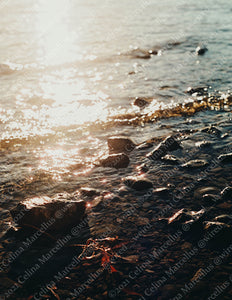 Natural Landscape 014