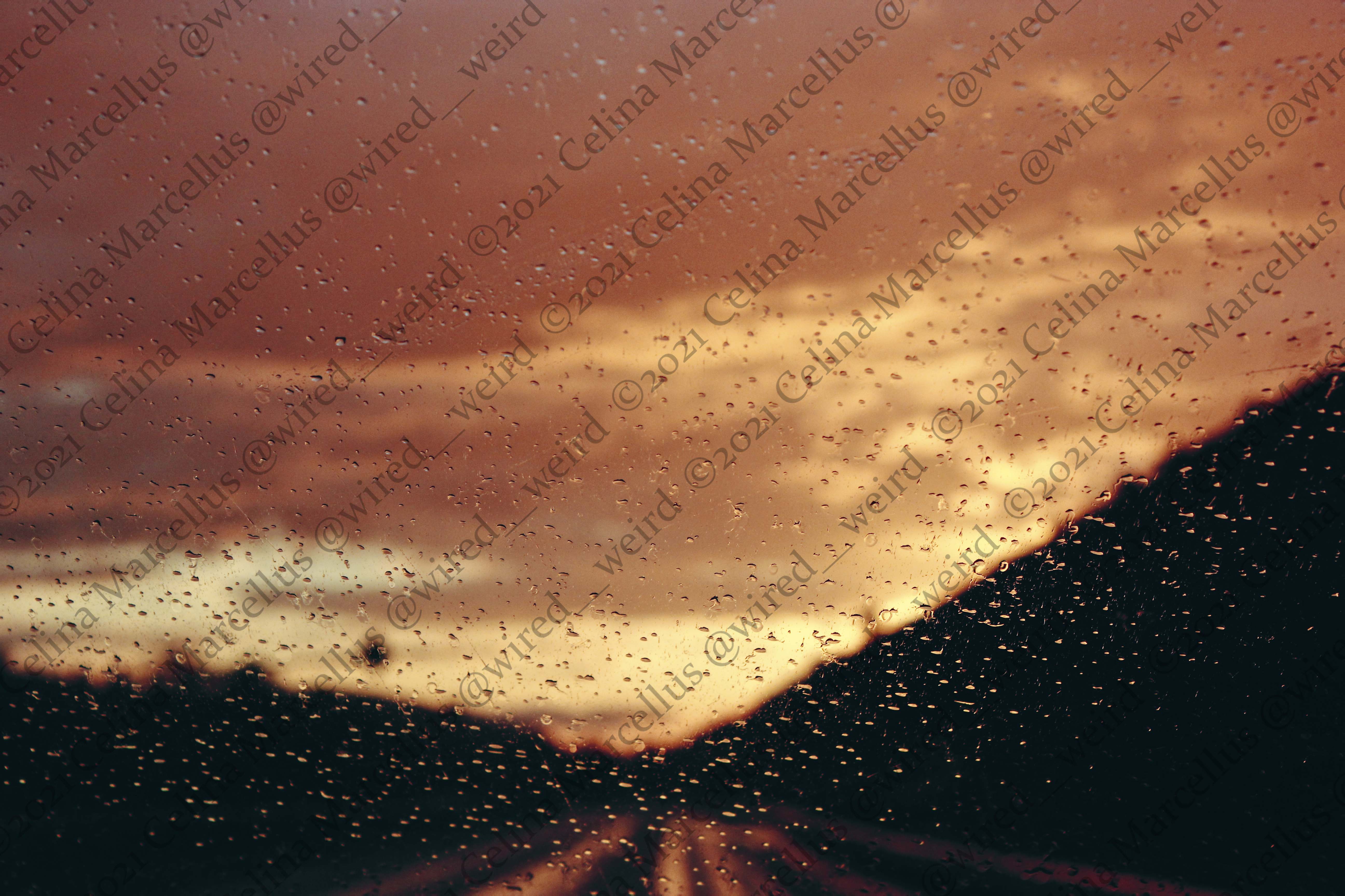 Natural Landscape 031