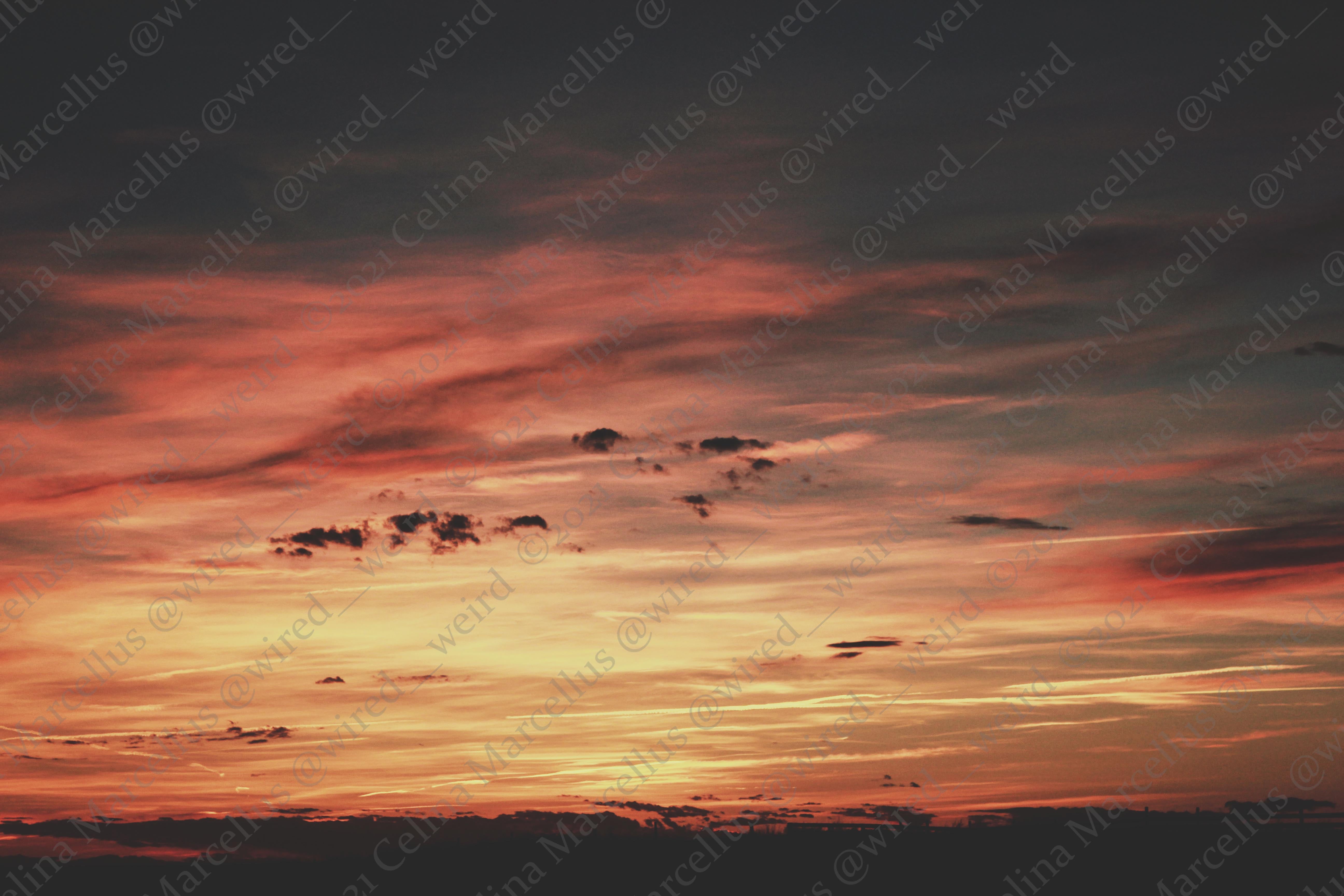 Natural Landscape 036