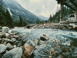 Revelstoke River Bottom