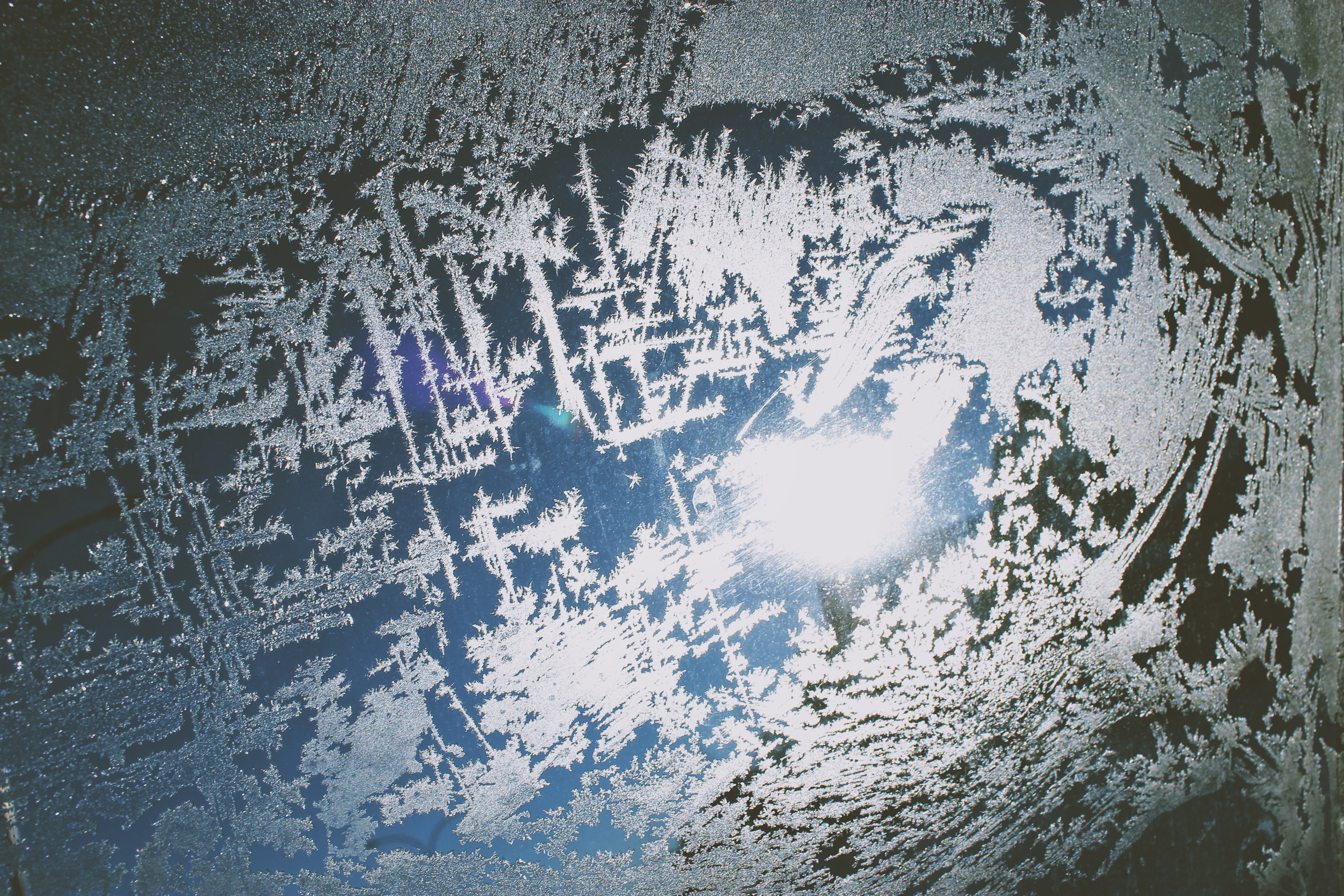 Frosty Window