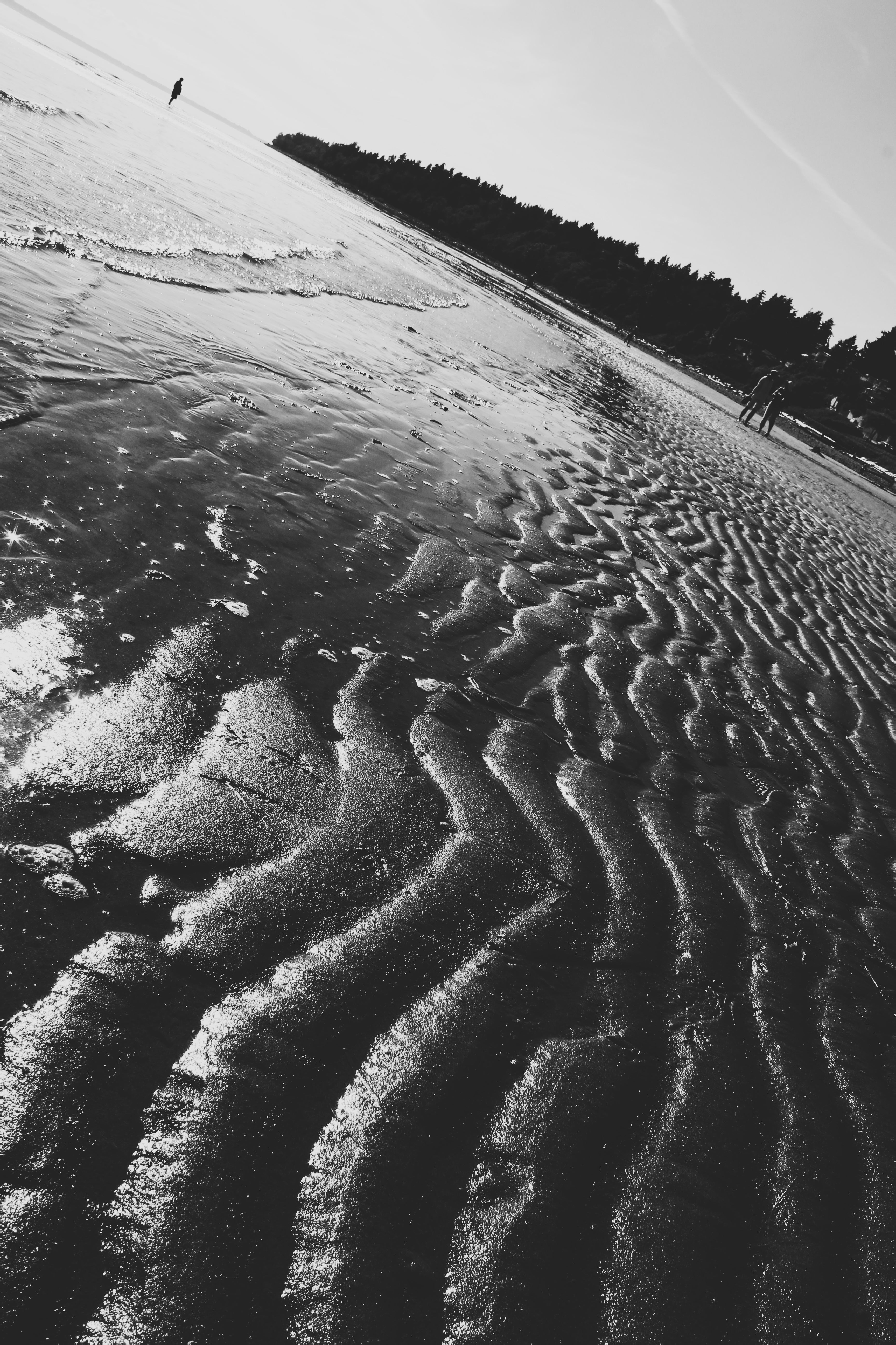 Sand Ripple 1