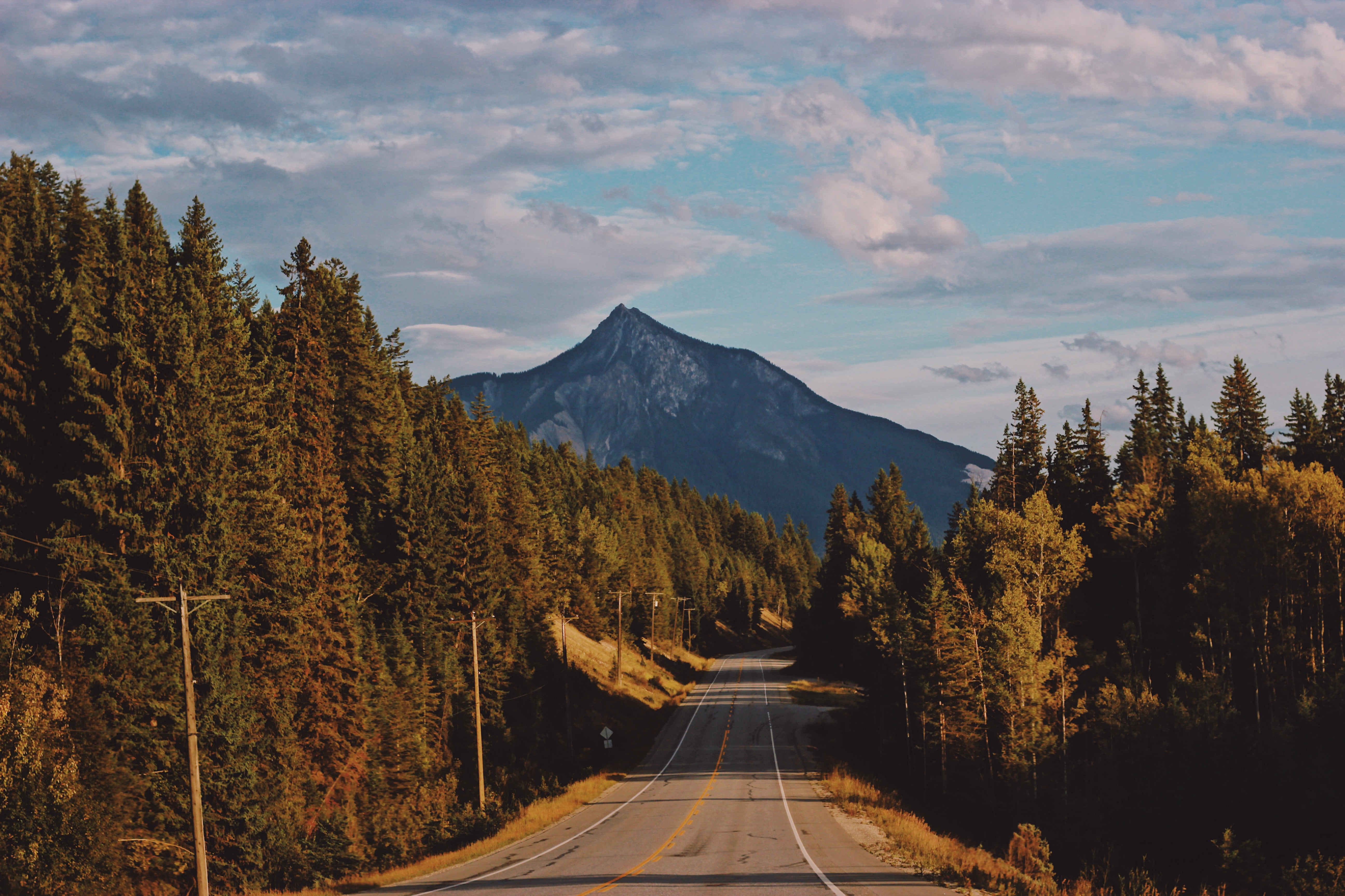 Road to Golden