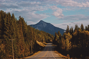 Road to Golden